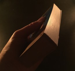 2f378557-c876-41c3-9e53-8b2b3dbce2c8_1_201_a